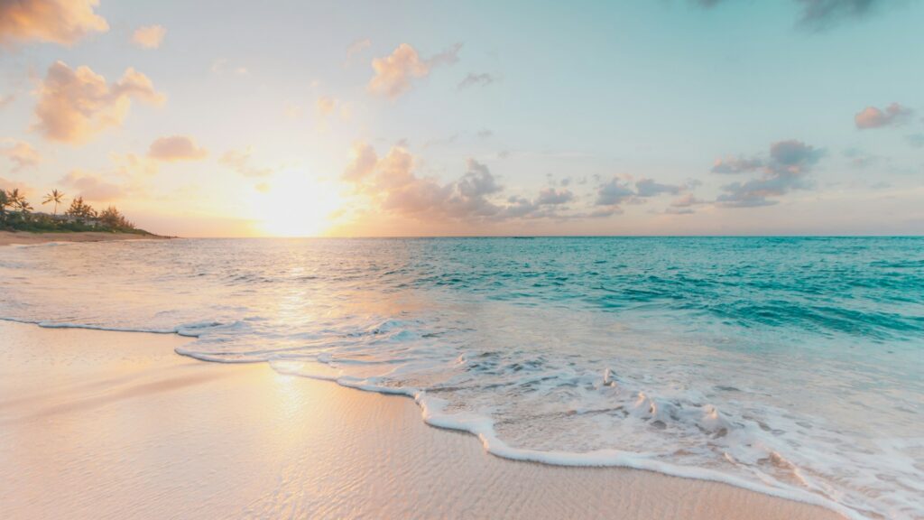 seashore during golden hour