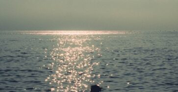 Mas ela é tão quietinha