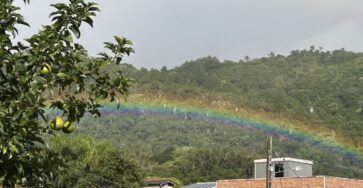 Florianópolis, 12 de maio de 2025